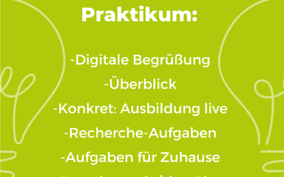 So gelingt das Online-Praktikum